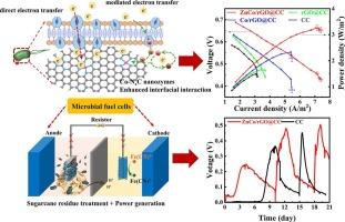 Boosting microbial fuel cell performance with Co-Nx doped carbon nanotubes/graphene biomimetic anode composites