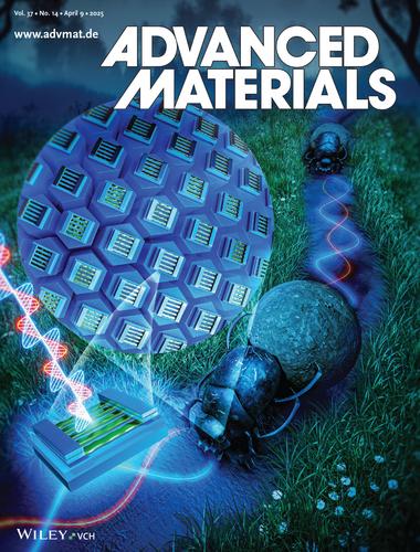 Self-Adaptive Polarized Photoresponse in Organic Single-Crystal Phototransistors for Bionic Night-Time Polarization Perception (Adv. Mater. 14/2025)
