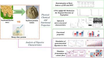 Soybean protein isolate versus sheep whey protein: A detailed comparison of their chemical composition, gastrointestinal digestion and fermentation properties