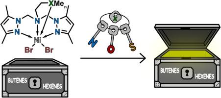 Ni (II) complexes stabilized by tripodal pyrazole-containing ligands with additional donor atoms in the catalysis of the ethylene oligomerization