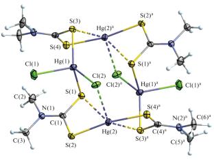 The Tetranuclear Macrocyclic Mercury(II) Complex of [Hg4{S2CN(CH3)2}4Cl4]: Preparation, Molecular and Supramolecular Structures, and Thermal Behavior