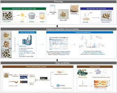 Explanation of the potential mechanism of Sophora flavescens Ait and processed products treating ulcerative colitis based on the analysis method of “chemical composition characterization-target prediction”