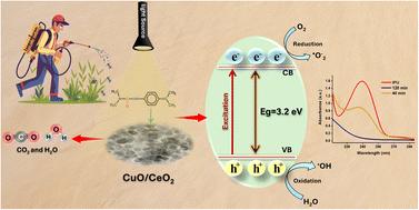 Defect-enriched CuO/CeO2 nanostructure: in-depth structural characterization and photocatalytic performance†