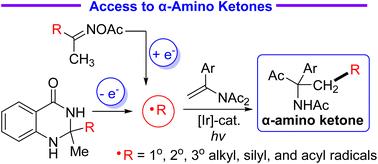 Modular reductive radical-polar crossover-based acyl migration reactions of N-vinylimides with alkyl, silyl, and acyl radicals†