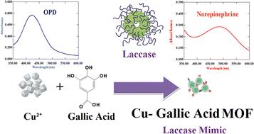 Catalytic activity study of a laccase-like copper–gallic acid MOF and its applications in the colorimetric determination of norepinephrine and degradation of environmental pollutants†