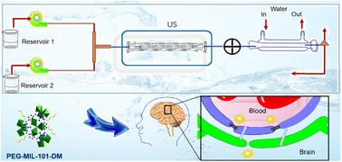 Continuous synthesis of PEGylated MIL-101(Cr) nanoparticles for neuroprotection†