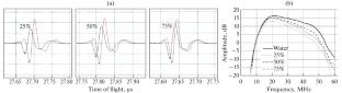 Application of Pulsed Acoustic Microscopy for Studying Chitosan-Based Biocomposite Sponges