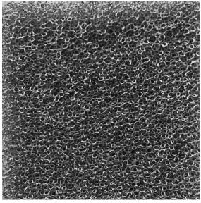 Study on the Effect of Equal Volume Filled Copper Foam on Radiator Temperature