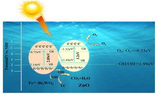 A novel ZnO/Fe3+-doped Bi2WO6 photocatalyst with triple synergistic effect for solar-driven tetracycline degradation