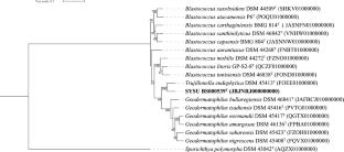 Trujillonella humicola sp. nov., a siderophore-synthesizing bacterium isolated from black soil in Northeast China
