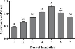 Establishment and Characterization of Hepatocyte Line from Turbot (Scophthalmus maximus L.) and Its Application in the Study of Glucose Metabolism
