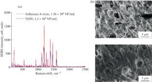 Developing SERS Active Track-Etched Membranes with High Sustainability in Biological Fluids