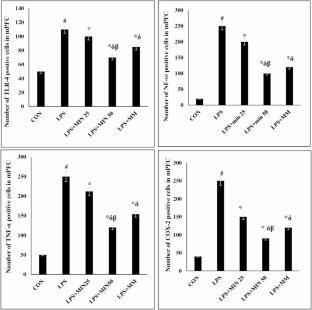 Minocycline attenuates TLR-4, NF-kB, TNF-α and COX-2 protein expression after lipopolysaccharide-induced neuroinflammation in the rat medial prefrontal cortex (mPFC)