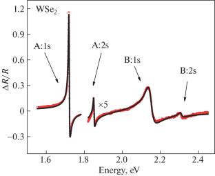 Excited States of Excitons in Monolayers of Transition Metal Dichalcogenides in Reflectance Spectra up to Room Temperature