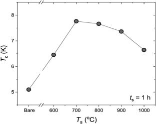 High critical current densities of body-centered cubic high-entropy alloy superconductors: recent research progress