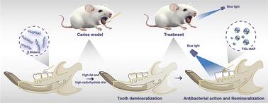 Photocatalytic TiO2/HAP nanocomposite for antimicrobial treatment, promineralization, and tooth whitening†