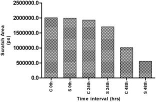 Formulation and Evaluation of Herbal Lipbalm for the Treatment of Cheilitis