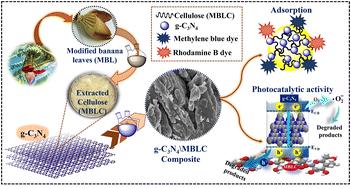 Synergistic efficiency of modified banana leaf derived cellulose-g-C3N4 hybrid composite: a sustainable approach for visible-light-driven photodegradation of dyes†