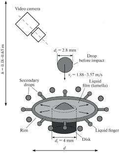 Effect of Surface Tension on Splashes of a Liquid during Drop Falling on a Rigid Obstacle