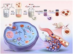 Metallized hollow-COF nanobowls with dual-mode ROS generation for cancer sonodynamic therapy†
