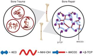 High-strength bone polyurethane adhesive with rapid curing for bone tissue injury repair†
