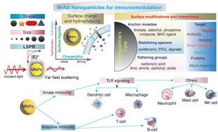 Immunomodulatory effects of metal nanoparticles: current trends and future prospects