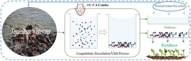 Evaluating the feasibility of creating a zero waste discharge aquaculture system†