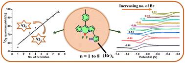Synthesis, structure, spectral and redox properties of 3-pyrrolyl BODIPYs containing one to eight bromides at the pyrrole carbons†