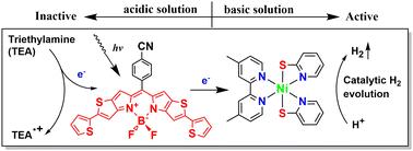 Synthesis, photophysics and photosensitizing hydrogen evolution of a near-infrared heavy-atom-free sensitizer†