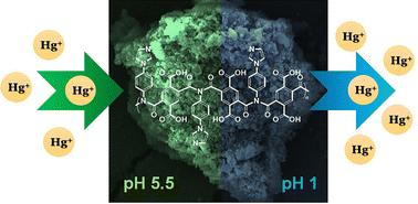 Effective mercury removal by a new imidazole-functionalized polyamide for wastewater treatment: experimental and theoretical studies†