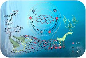 Selective hydrogenolysis of lignin over hierarchical CoNC catalysts for the sustainable production of 4-propylsyringol†