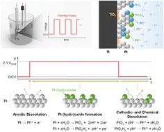 Accelerated degradation of Pt-coated Ti porous transport layers under dynamic potential pulses in PEMWEs†