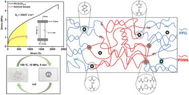 Tough silicone-based elastomers enhanced by synergistic Zn(ii)–carboxylate interactions and weak hydrogen bonds between incompatible soft segments†