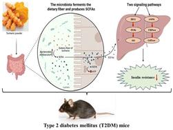 Preventive effects of turmeric against HFD/STZ-induced type 2 diabetes in mice by activating IRS1/PI3K/Akt signaling in association with gut microbiota metabolism
