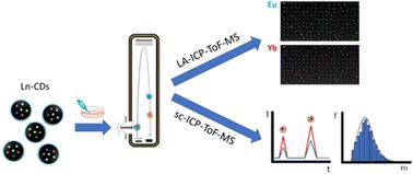 Determination of the uptake of lanthanide doped-carbon dots by human cells using single cell ICP-ToF-MS†