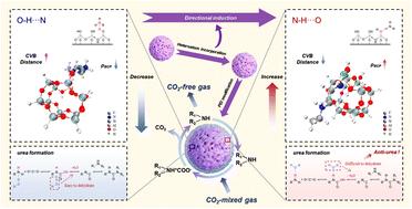 Directionally induced hydrogen bonding interactions of heteroatom-incorporated amine adsorbents for promoting steady CO2 capture†