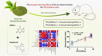 The polyphenol/caffeine ratio determines the arousal-inducing properties of the green tea ethanol extract†