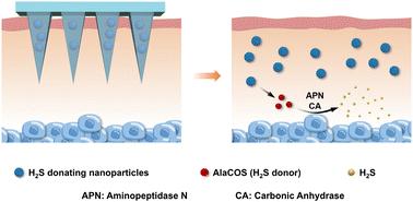 Microneedle-mediated transdermal H2S gas therapy for psoriasis†