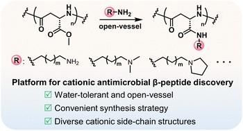 An effective approach to obtain functional poly-β-peptides for combating drug-resistant bacterial infections†