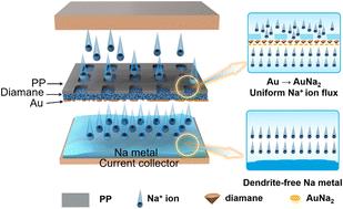 Sodiophilic Au-diamane polypropylene separator enabled dendrite-free sodium metal batteries†