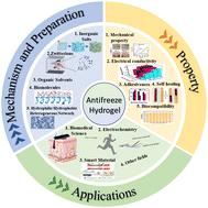 Synthesis strategy and application of multifunctional antifreeze hydrogels