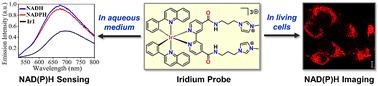Harnessing the power of iridium AIEgens for NAD(P)H detection in aqueous medium and living cells†