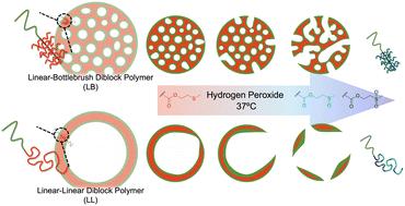 Self-assembly of thioether-based diblock copolymers: a comparative study of linear and bottlebrush architectures†