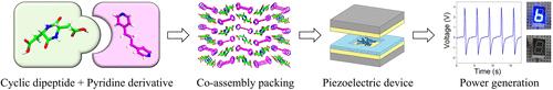 Regulating the Piezoelectricity of Cyclic Dipeptide-Based Supramolecular Materials through Co-Assembly Strategy