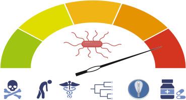 Clostridioides difficile is a bacterial priority pathogen