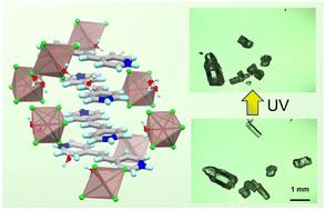 Photosalient [2 + 2] photodimerization in metal chloride-templated organic crystals†