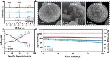 Na layer pillar ion post-doping facilitates diffusion kinetics and structural stability in NaNi0.5Mn0.5O2†