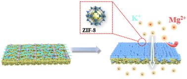 Improving the ion sieving performance of MOF polycrystalline membranes based on interface modification†