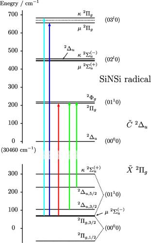 Laser-Induced Fluorescence Spectroscopy of the Jet-Cooled SiNSi Radical: Vibrationally Hot Bands of the C̃ 2Δu–X̃ 2Πg Transition