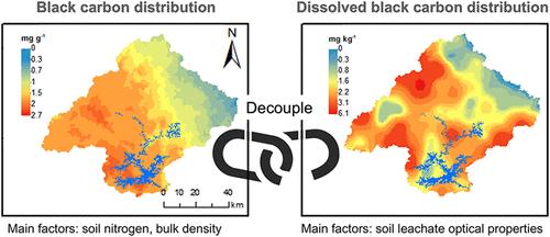 Distinct Spatial Distributions and Drivers of Soil Black Carbon and Dissolved Black Carbon in the Xinfengjiang Watershed, South China